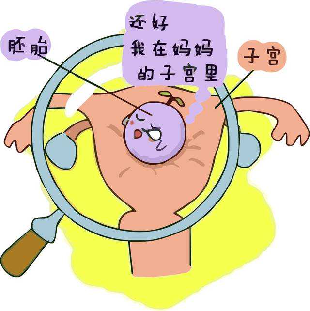 孕妇脚热现象解析：与胎儿性别无关的科学解释