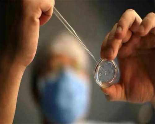 哈尔滨正规促排卵服务解析与代妈费用指南